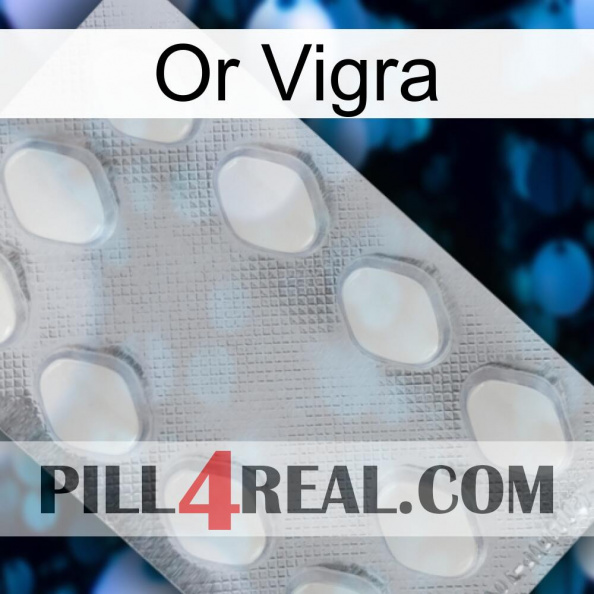 Gold Vigra 16.jpg